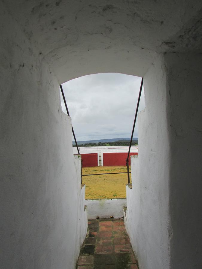 Hotel La Giralda Burguillos Del Cerro Eksteriør billede